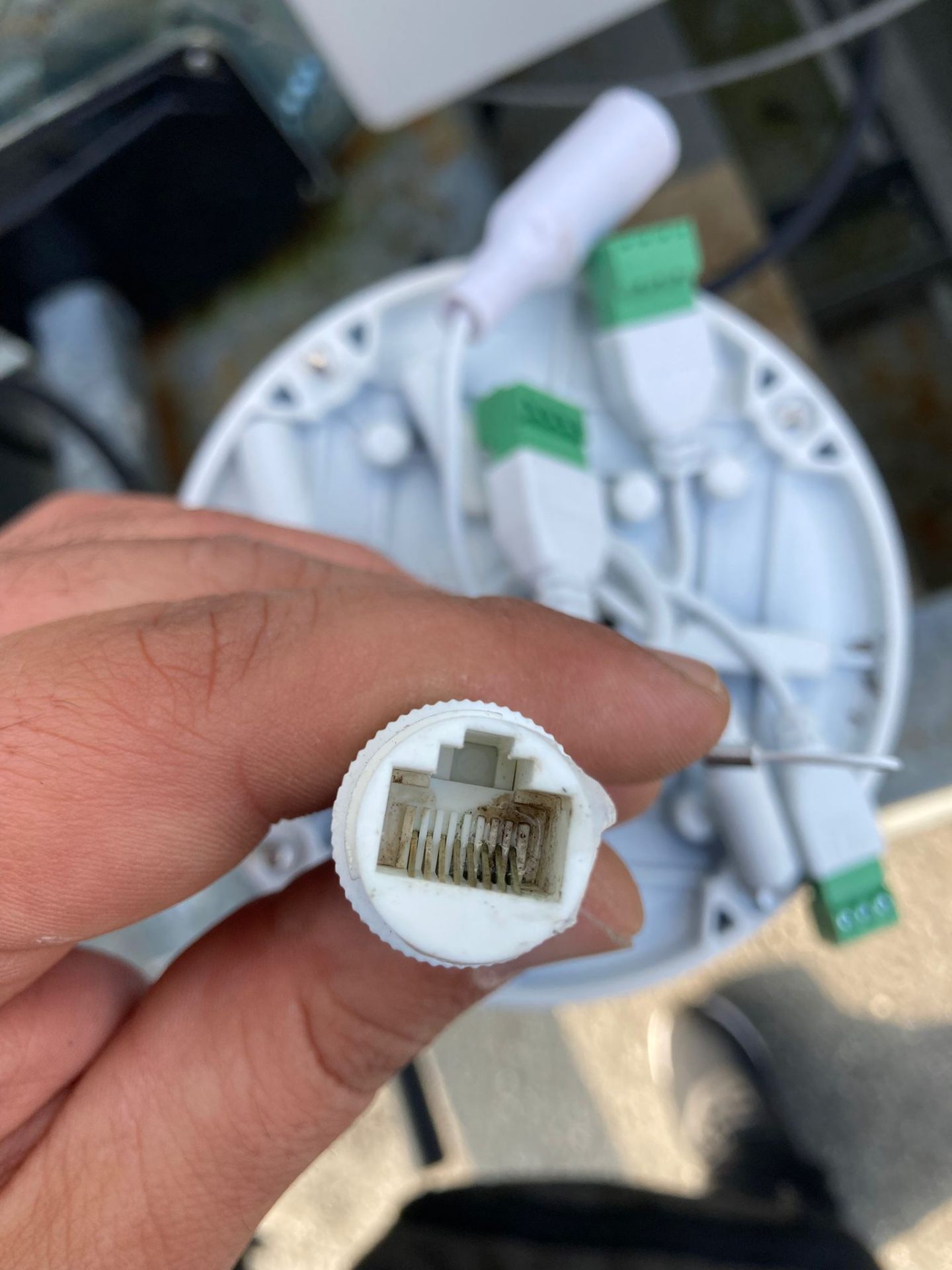 RJ45 Buchse korrodiert an PoE Überwachungskamera – grüne Oxidation an den Kontaktpins der Female-Buchse